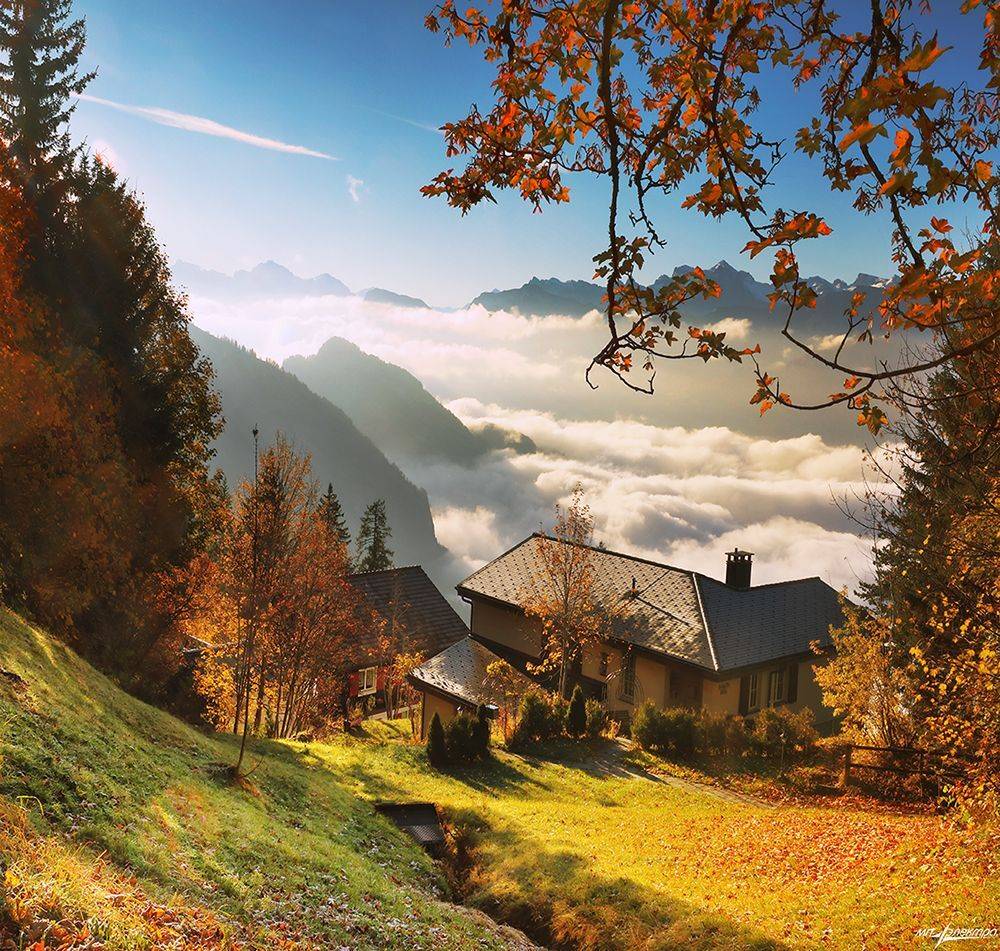 swiss, Матвеев Николай