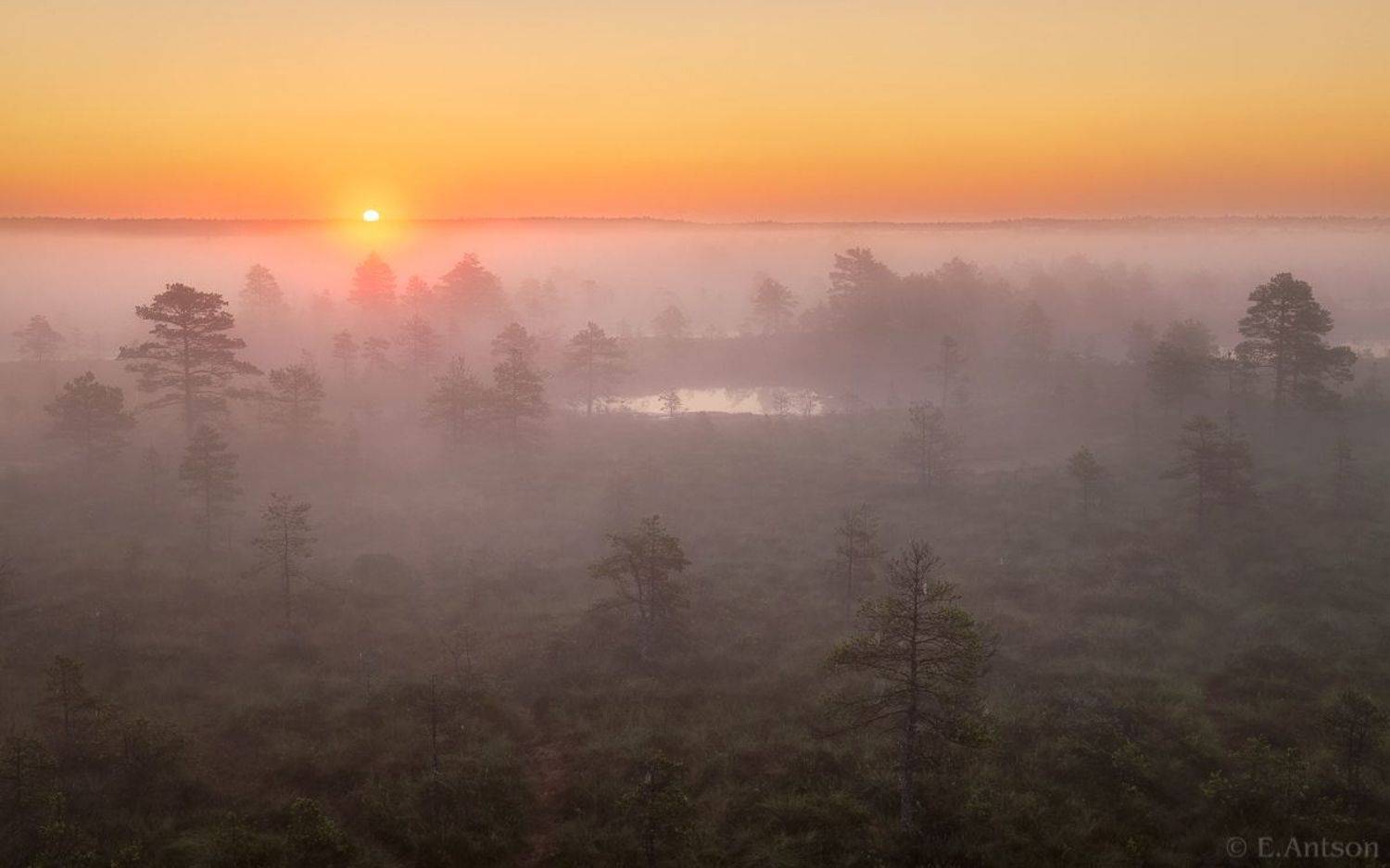 пейзаж, природа, эстония, Elvis Antson