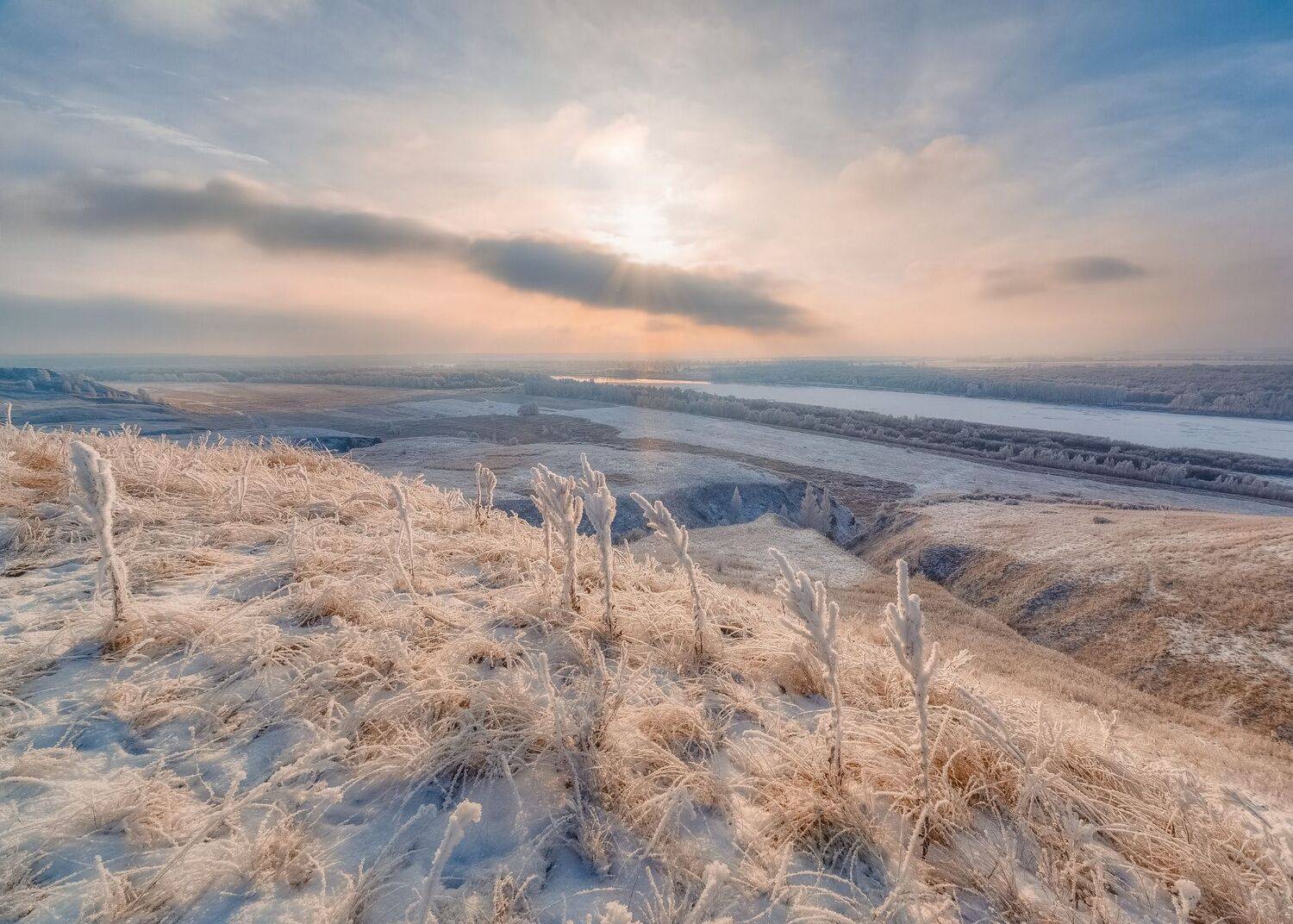 , Алексей Никитин