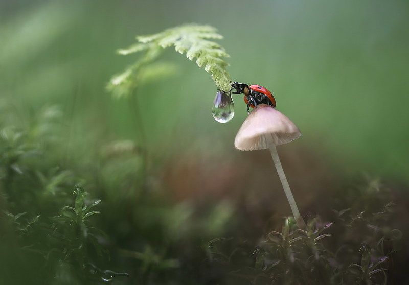 Утро нового дня фото превью