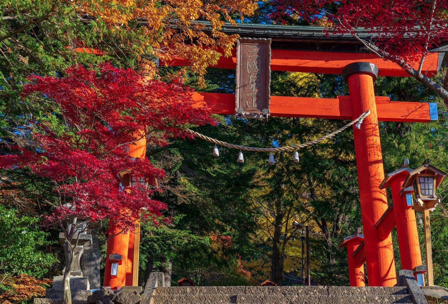 япония, фудзи, красный клен, Исаков Дмитрий