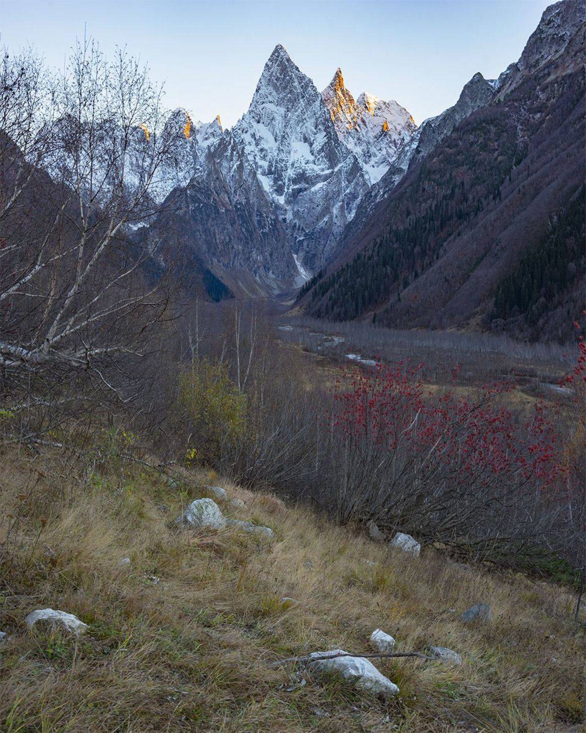 , Петр Косых
