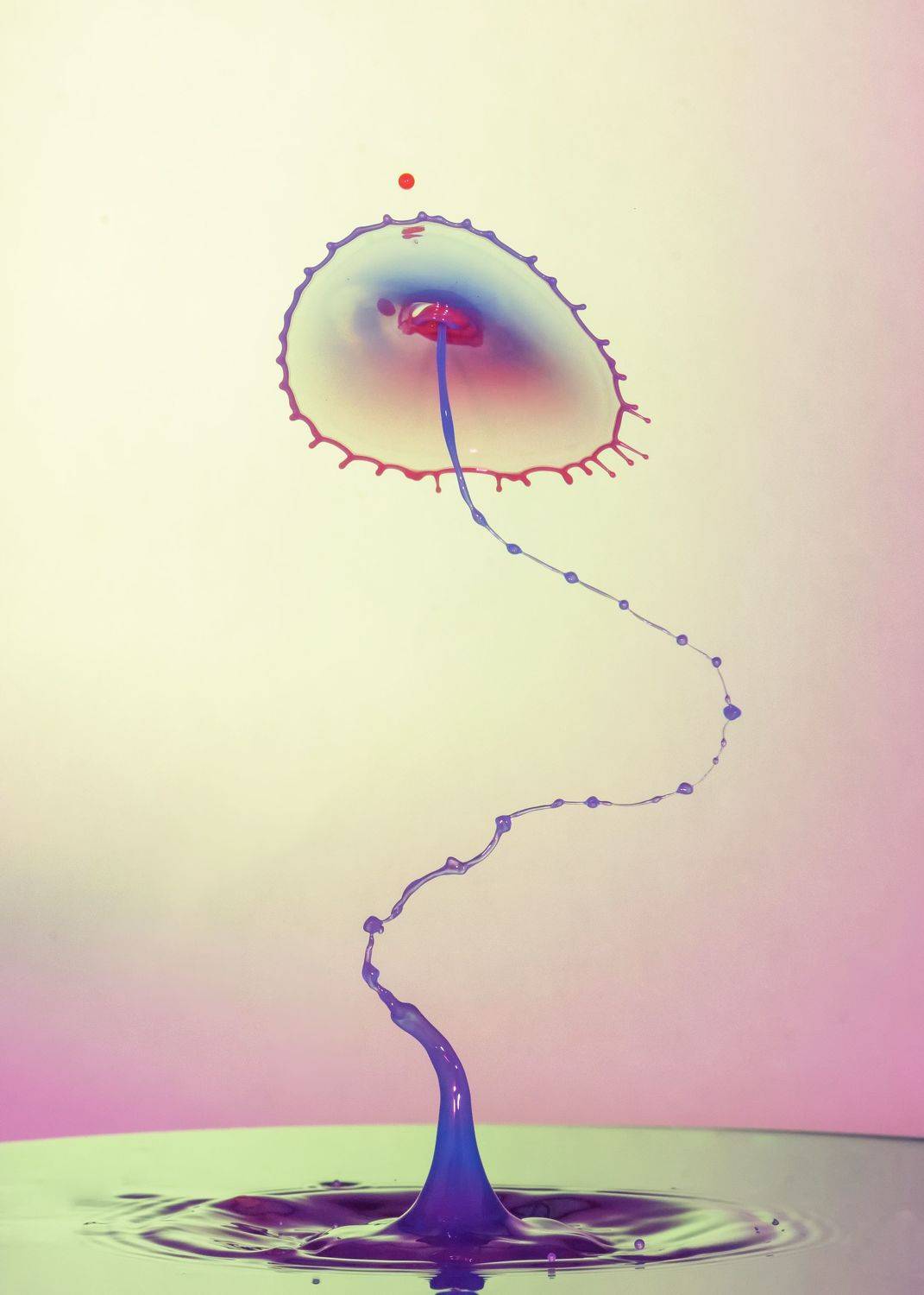 waterdrop,abstract,liquid,art,macro,photography,splash,drop,light,color, mustafa yagci