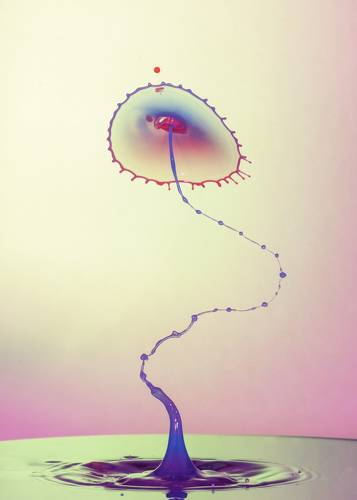 windy drops