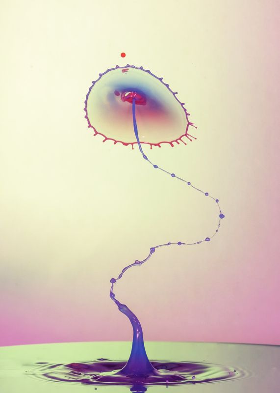 waterdrop,abstract,liquid,art,macro,photography,splash,drop,light,color windy drops фото превью