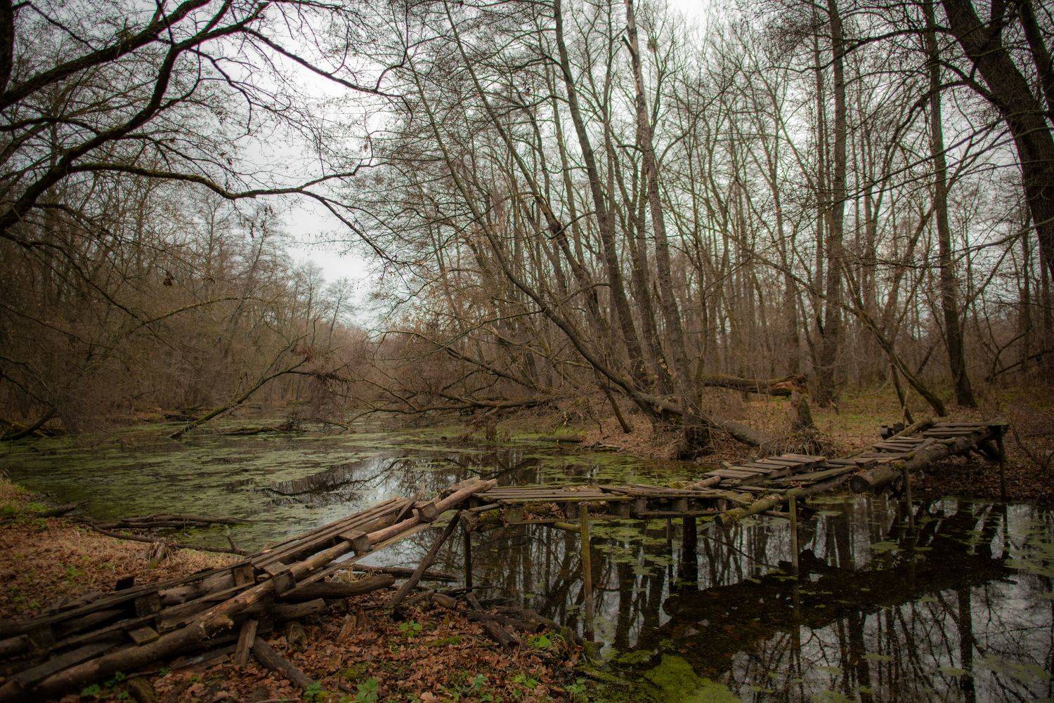 , Чистаев Александр