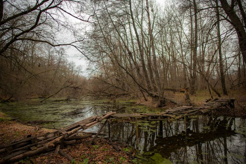 мост желаний фото превью