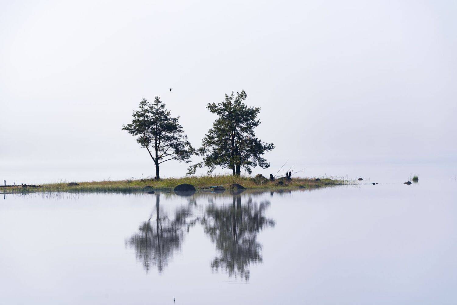 , Mariyana Atanasova - Lucero