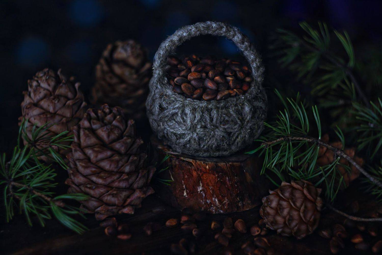 орешки,кедровые орехи, кедровые шишки, Алёна Сурнина