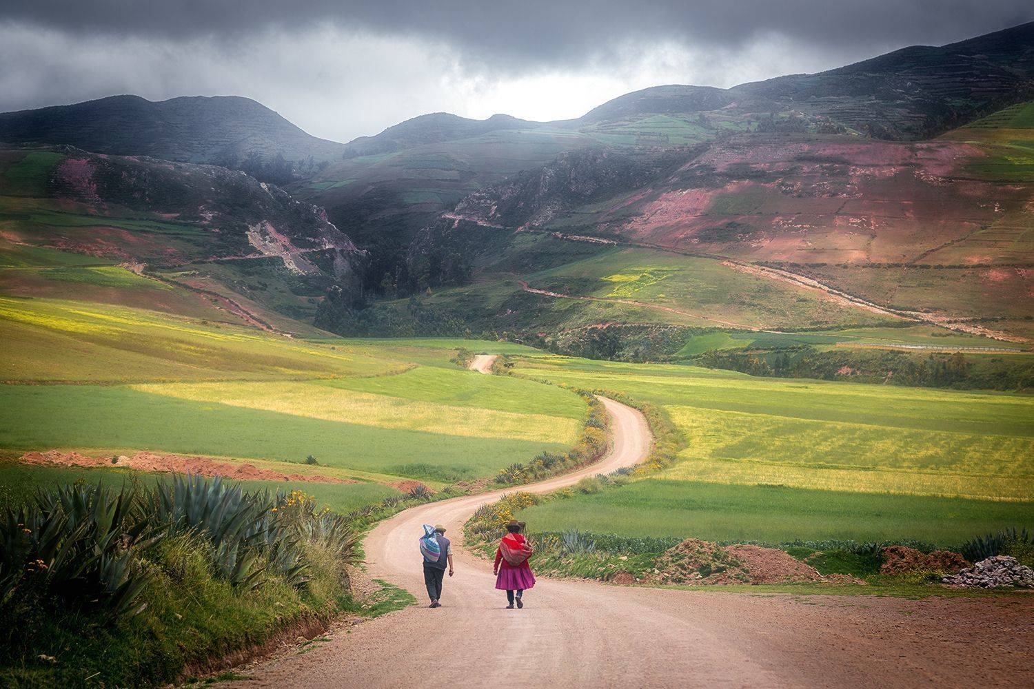 , Алексей Гурьев