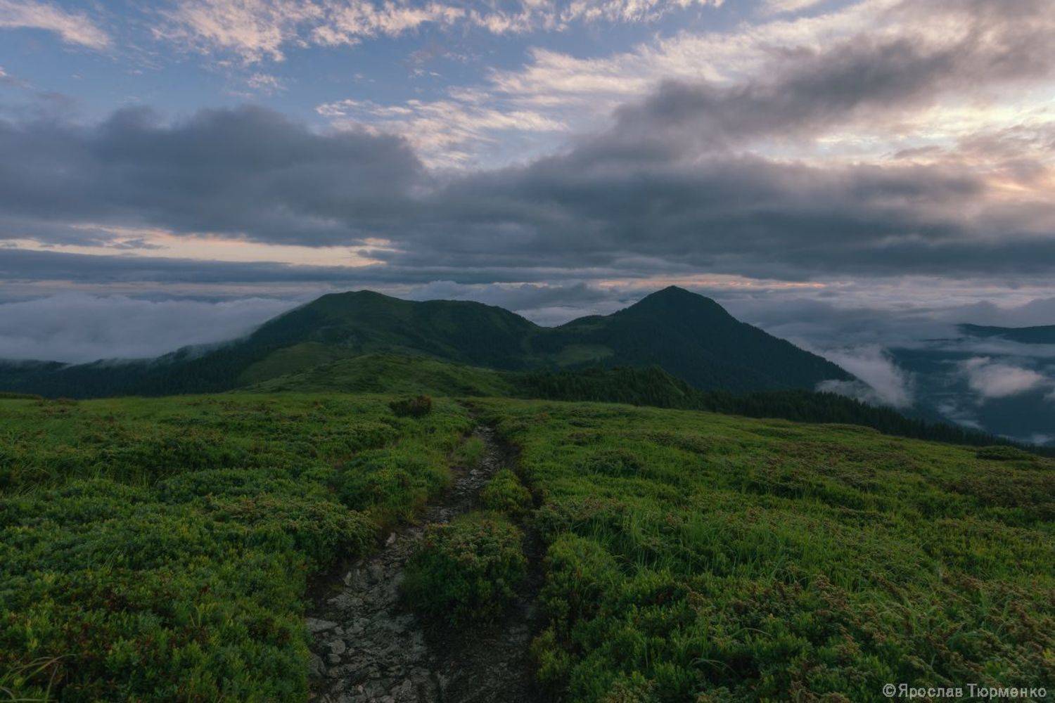 , Ярослав Тюрменко (Jaremi)