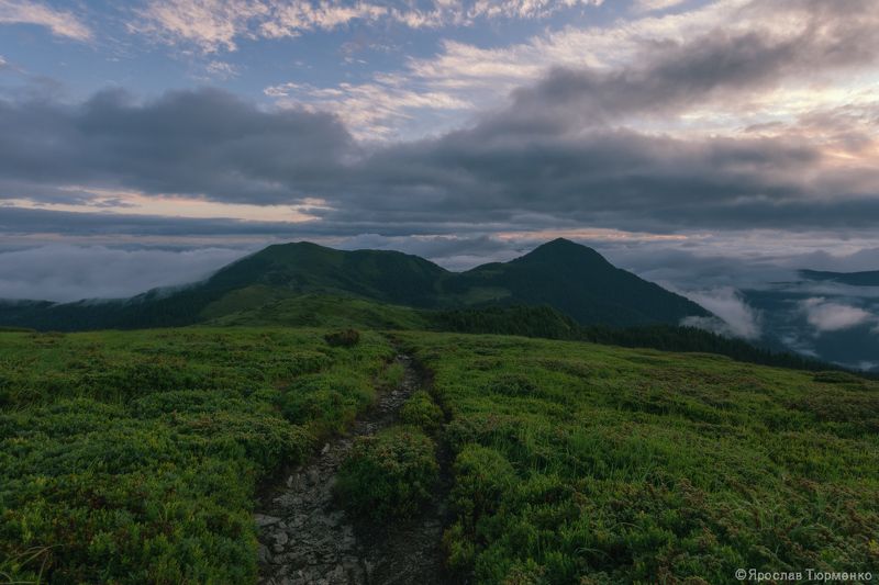 *** фото превью