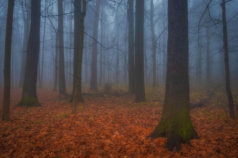 красногорск Настоящий мистический фото превью