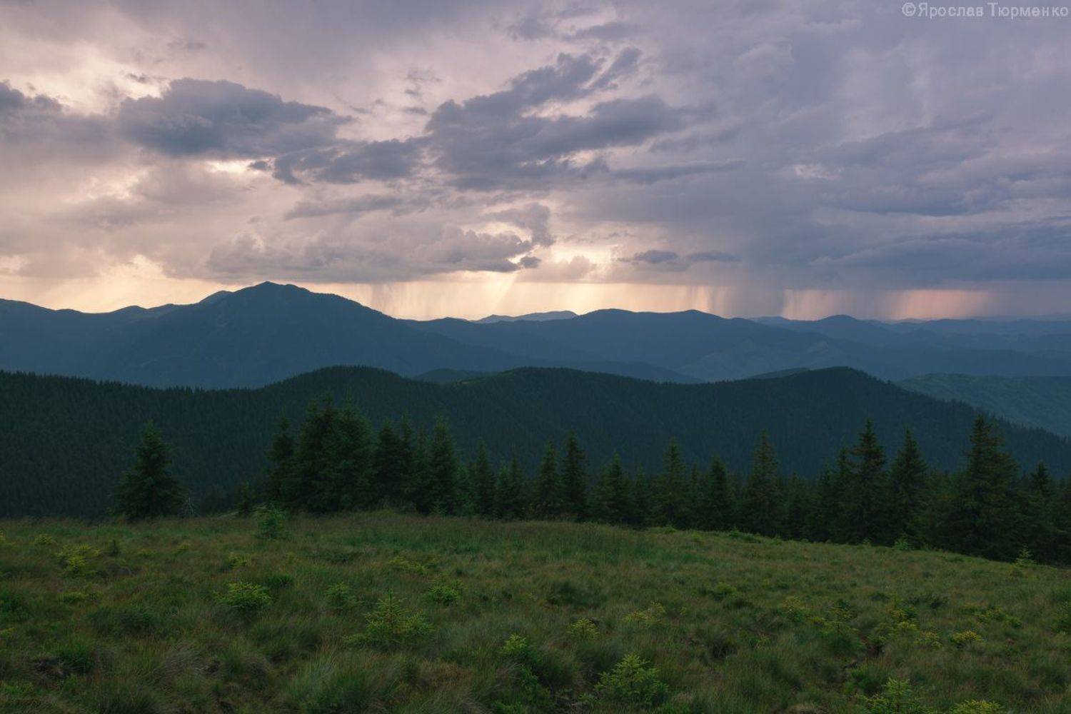 , Ярослав Тюрменко (Jaremi)