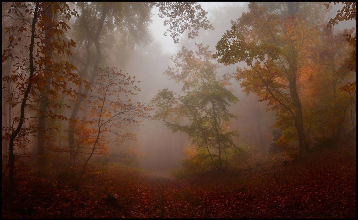 , Владимир Метцгер