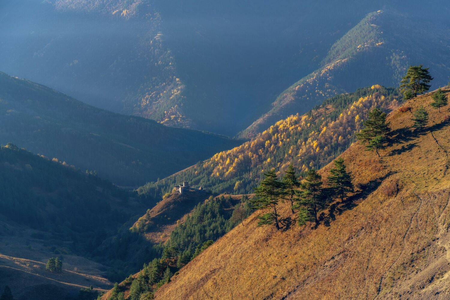 , Юлия Шумляева