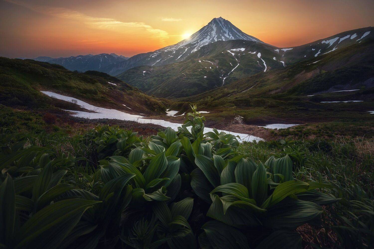 камчатка, Владимир Ляпин