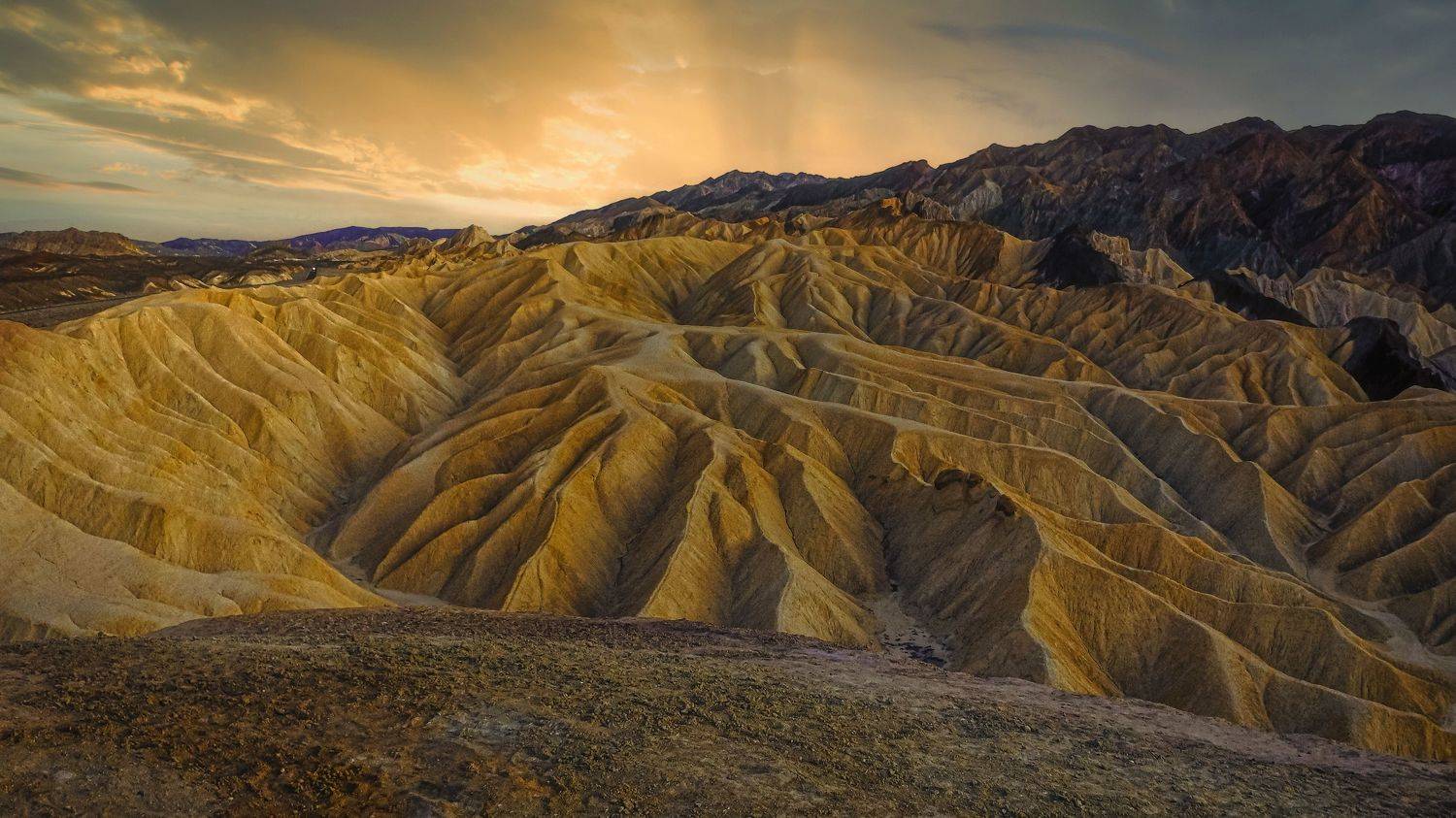 , Евгений Шварцман