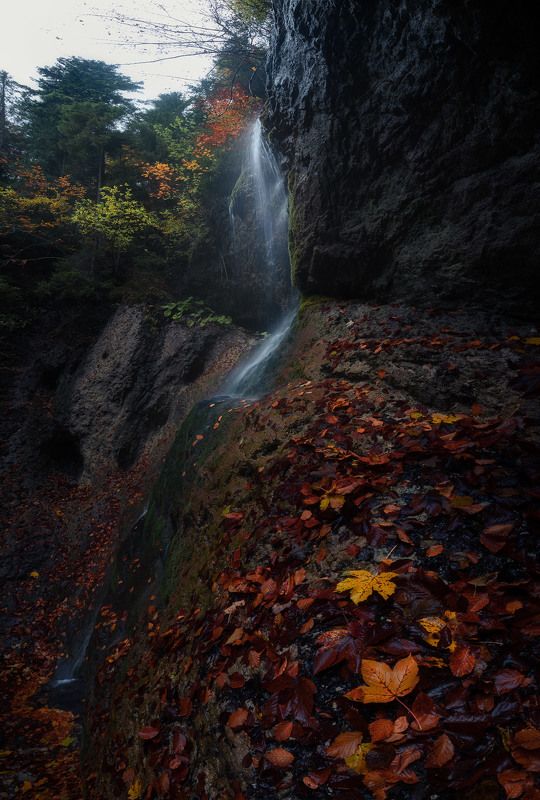 Slovakia paradise  фото превью