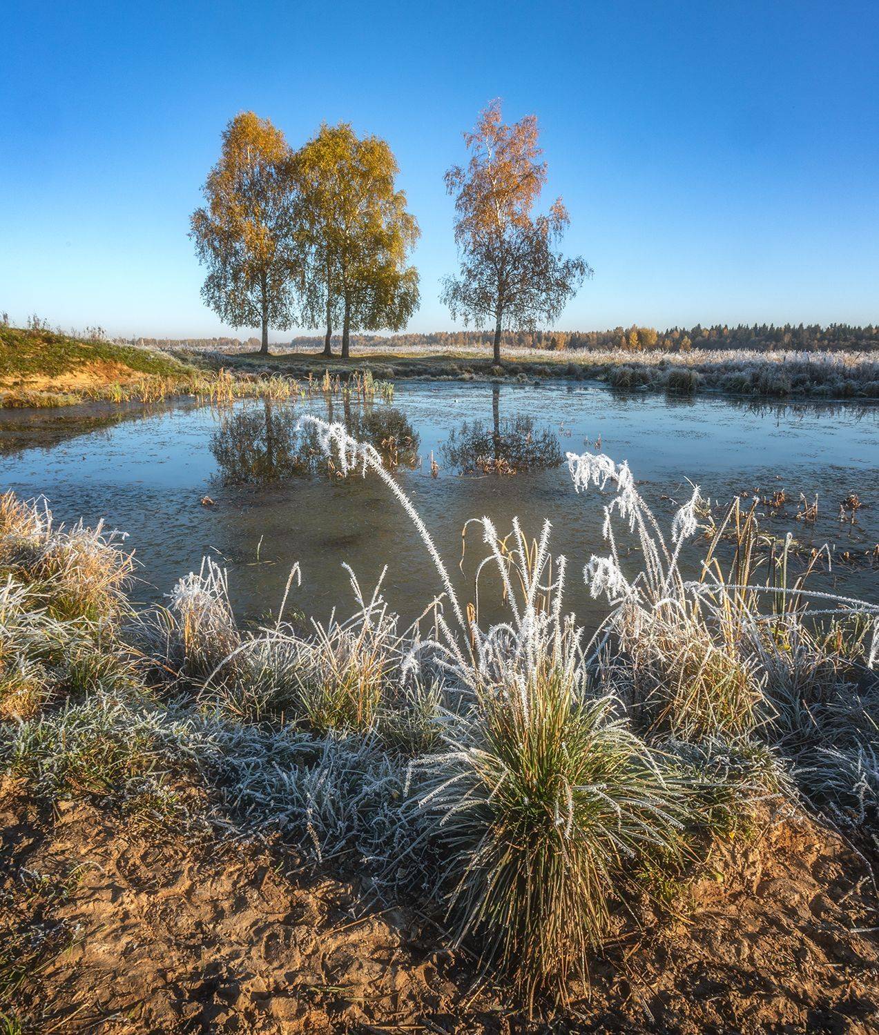 , Николай Андреев