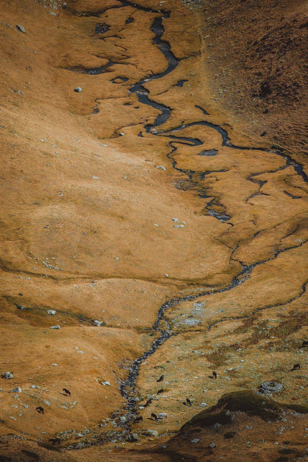 nikon d610,nikkor 200-500/5,6, Tihomir Petkov