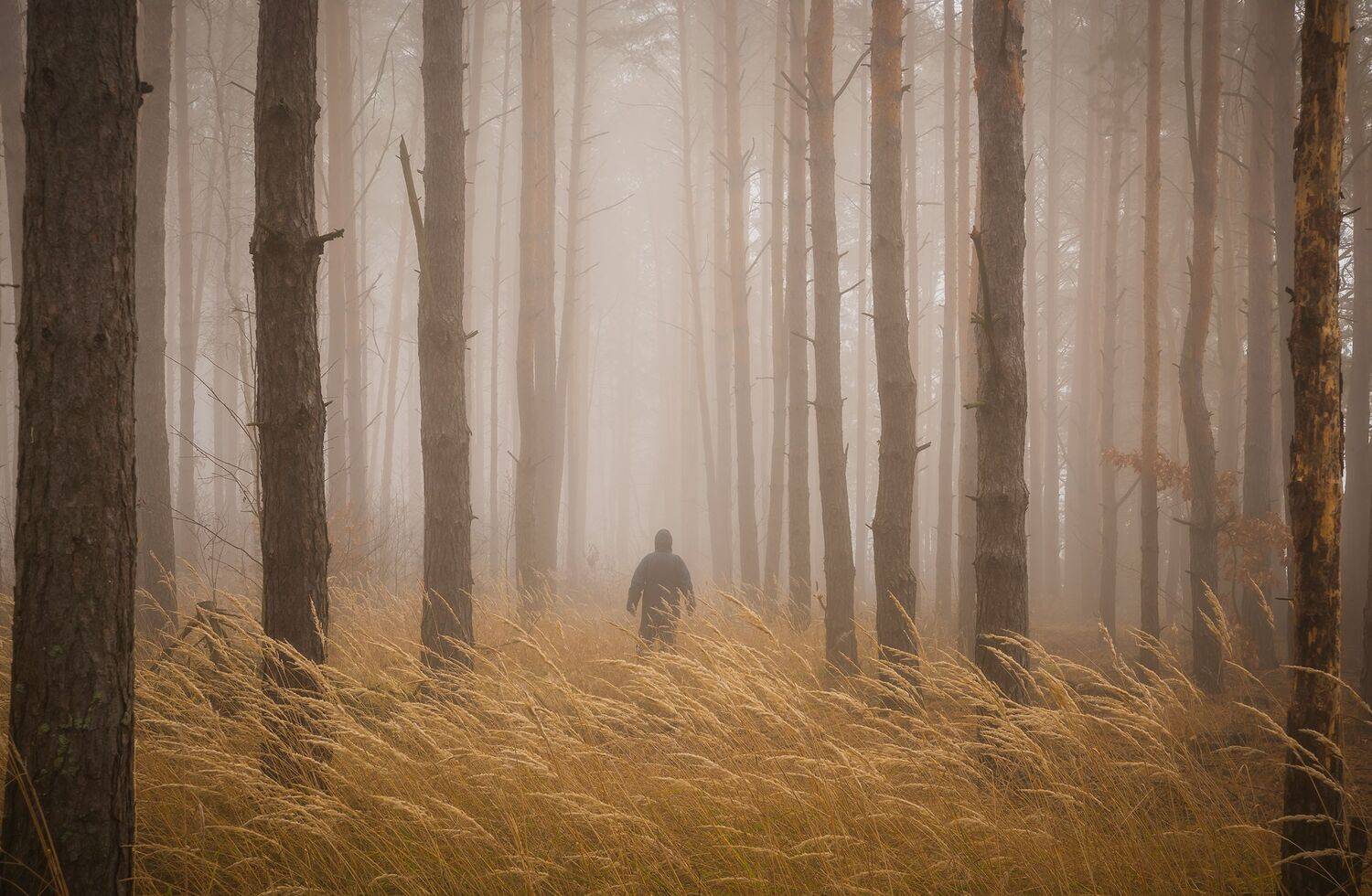 , Дмитрий Захаров