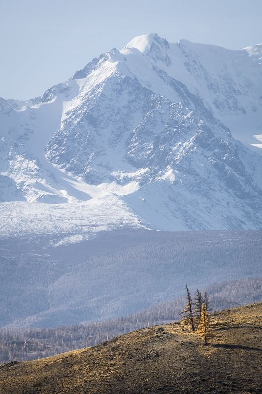 Алтай фото превью