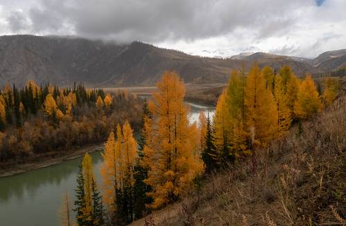 Осенняя Чуя.