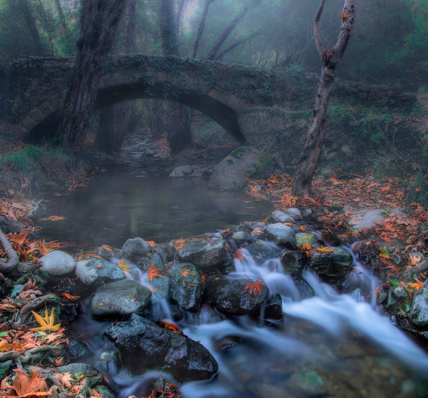 пейзаж, природа, nature, landscape, лес, река, водопад, горы, осень, autumn, fall, waterfall, river, forest, mountains, Семён Кузнецов