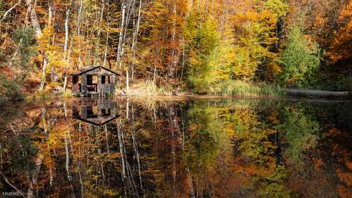 Озеро с черепахами. Ай-Петри