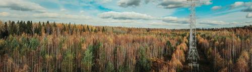 осень в самом разгаре