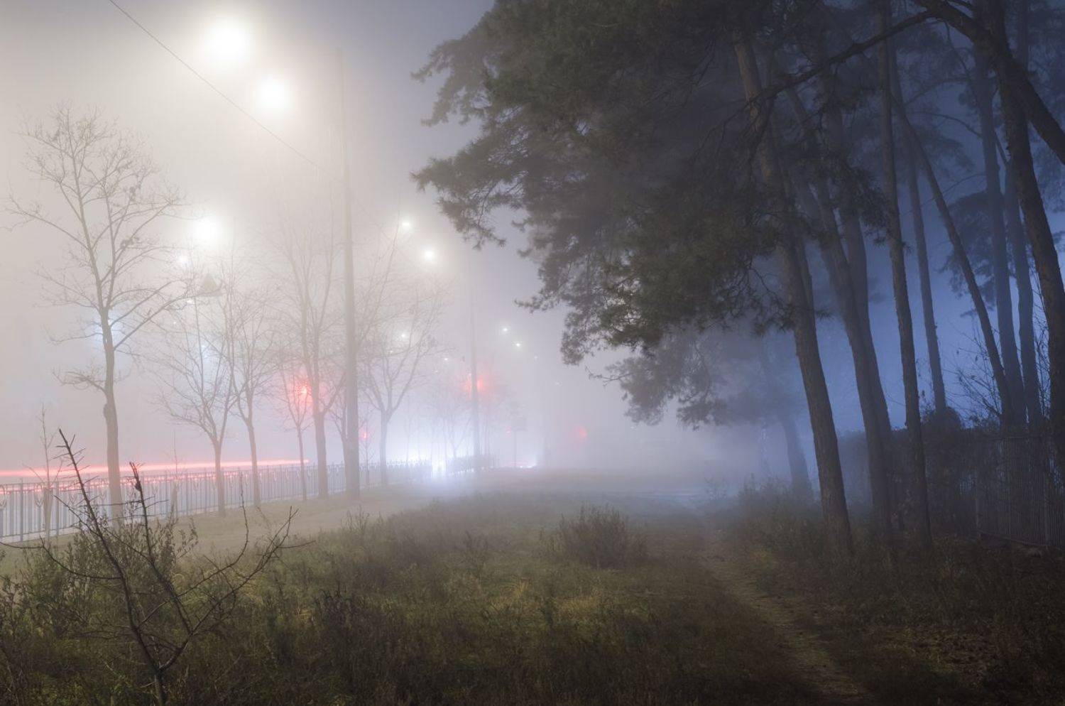 туман город лес, Галанзовская Оксана