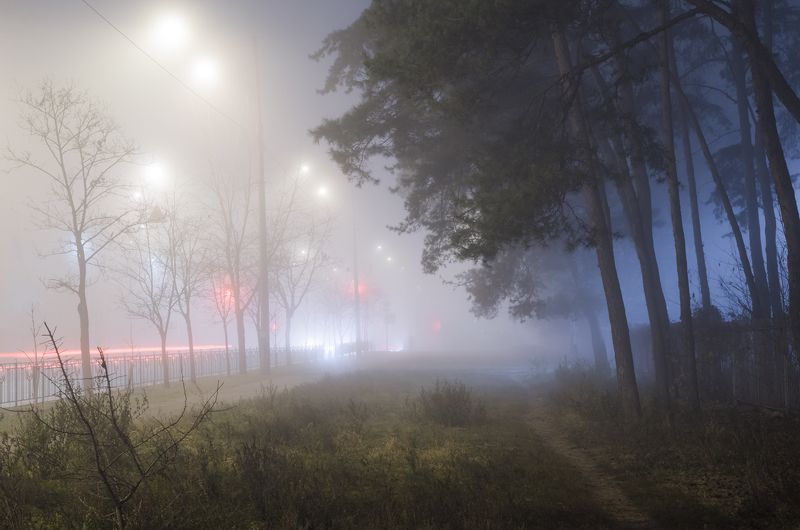 туман город лес Когда город накрывает туман фото превью