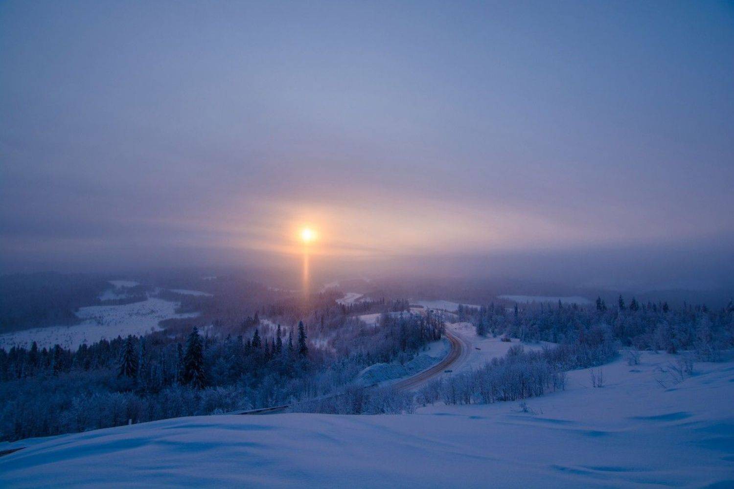 , Максим Ватрушкин