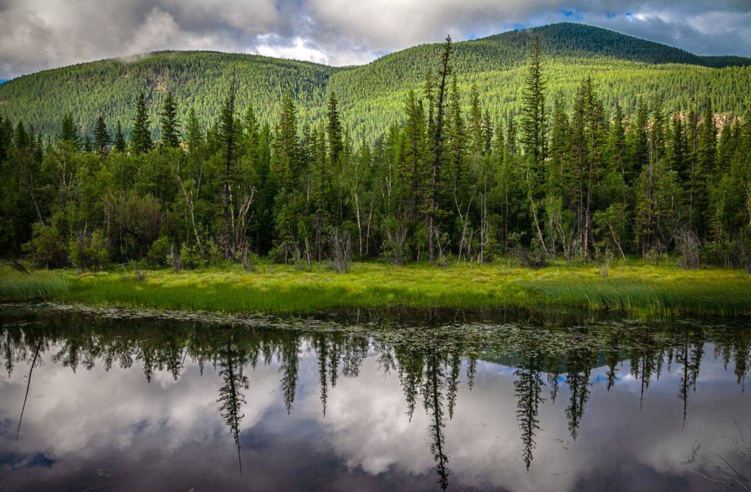 , Любовь Фурс