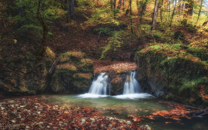 мишоко У осеннего порога фото превью