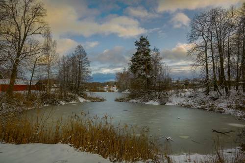 Предзимье. Ноябрь. Пивоварово.