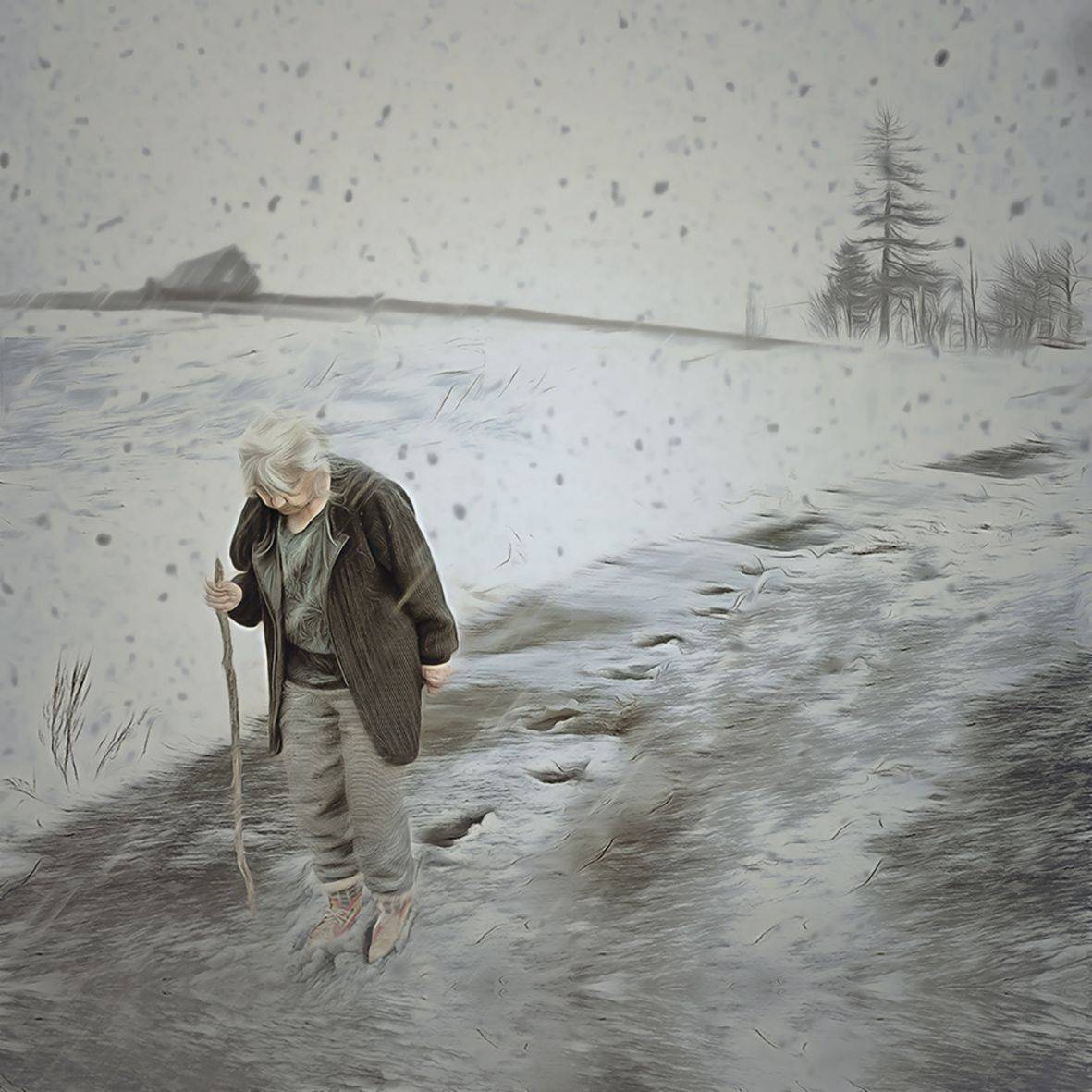 , T. Bondarenko