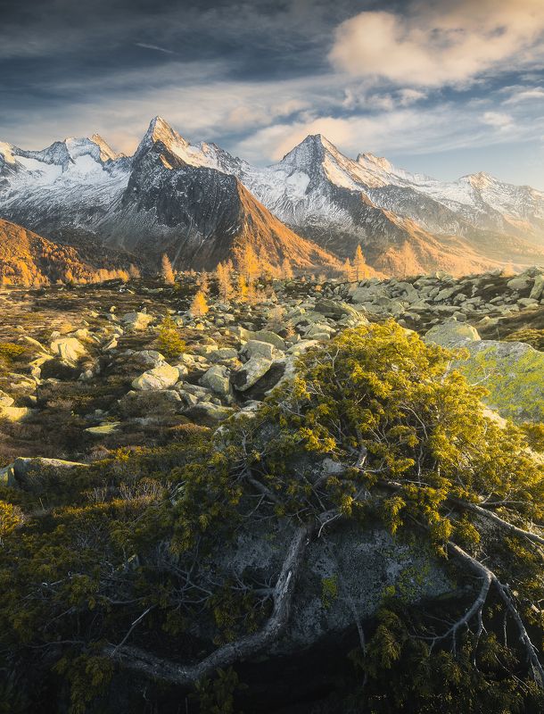 Autumn vibes фото превью