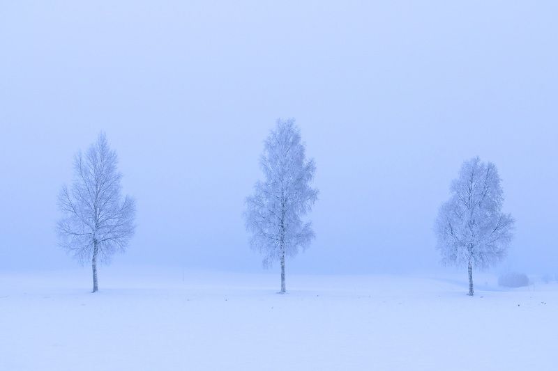 Вера, Надежда, Любовь фото превью