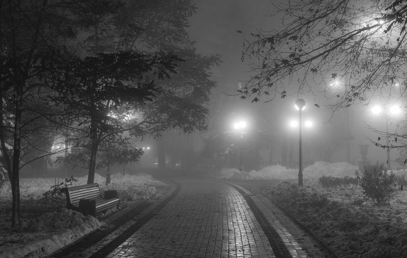 город парк лес туман платан ночное фото Туман холодный обнимает город фото превью