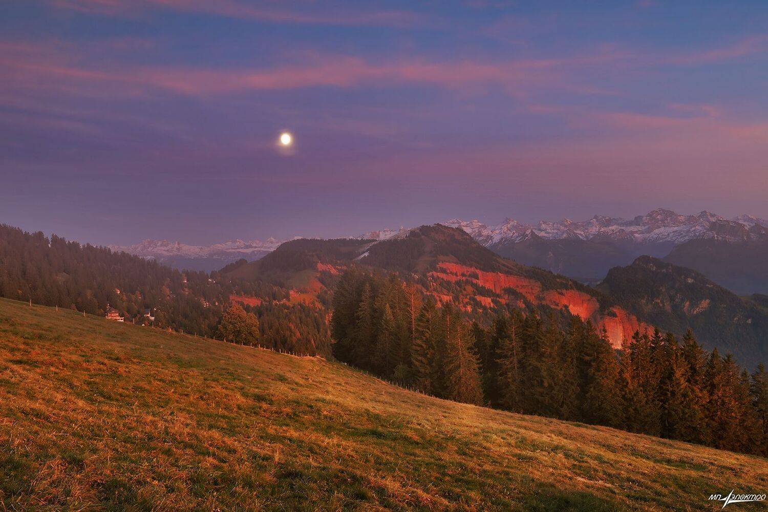 swiss, Матвеев Николай