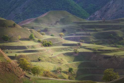 Рукотворные террасы Дагестана