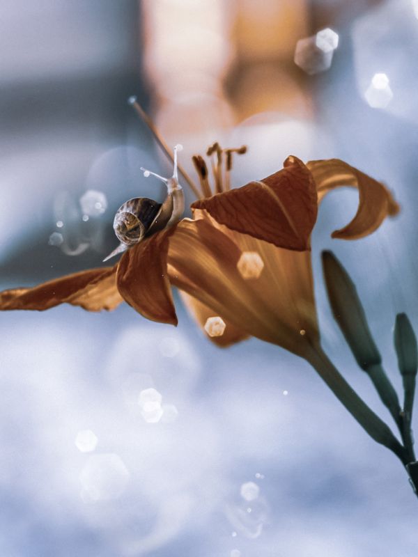 Здравствуйте фото превью