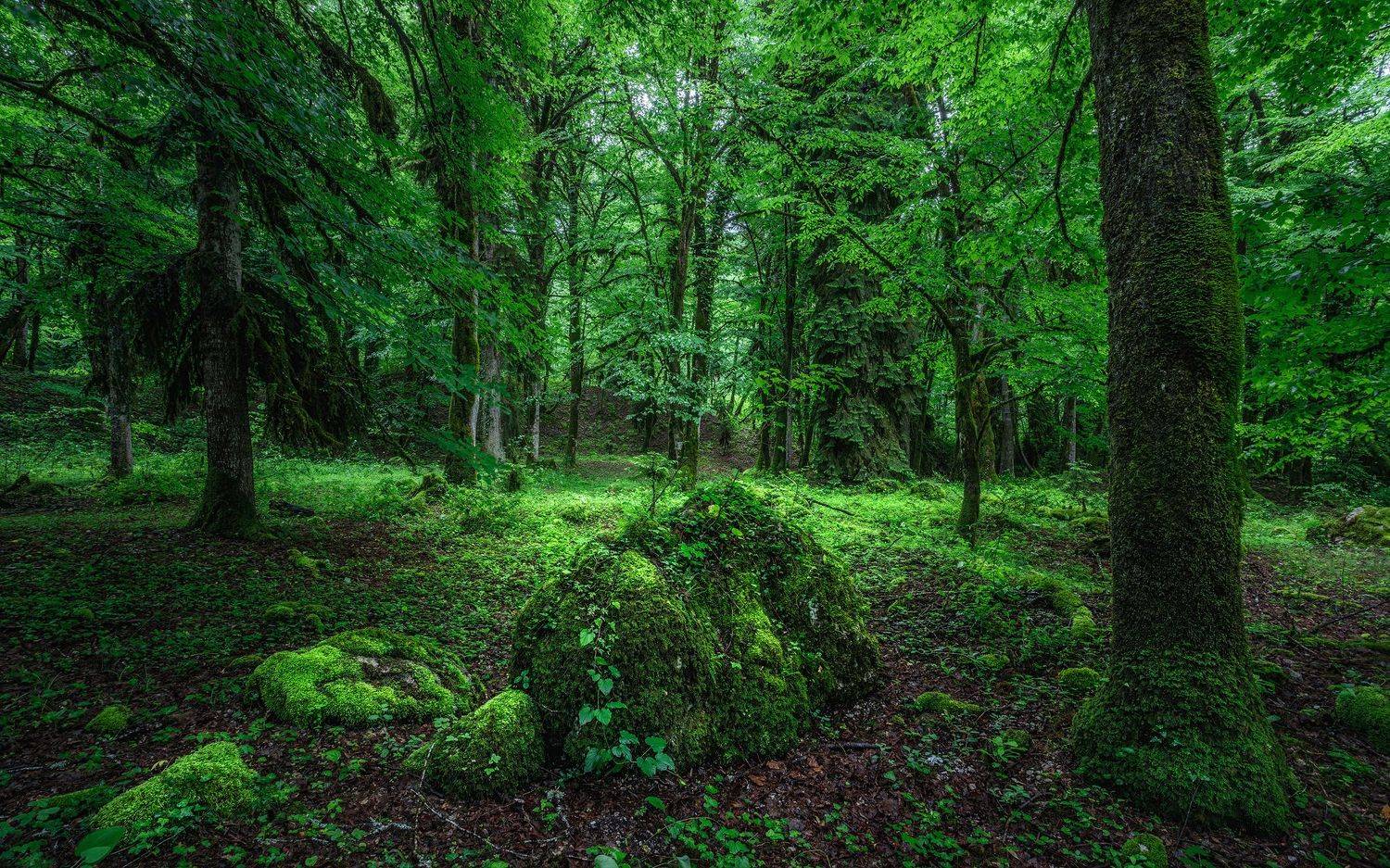 пейзаж, день, Сергей Сергеев