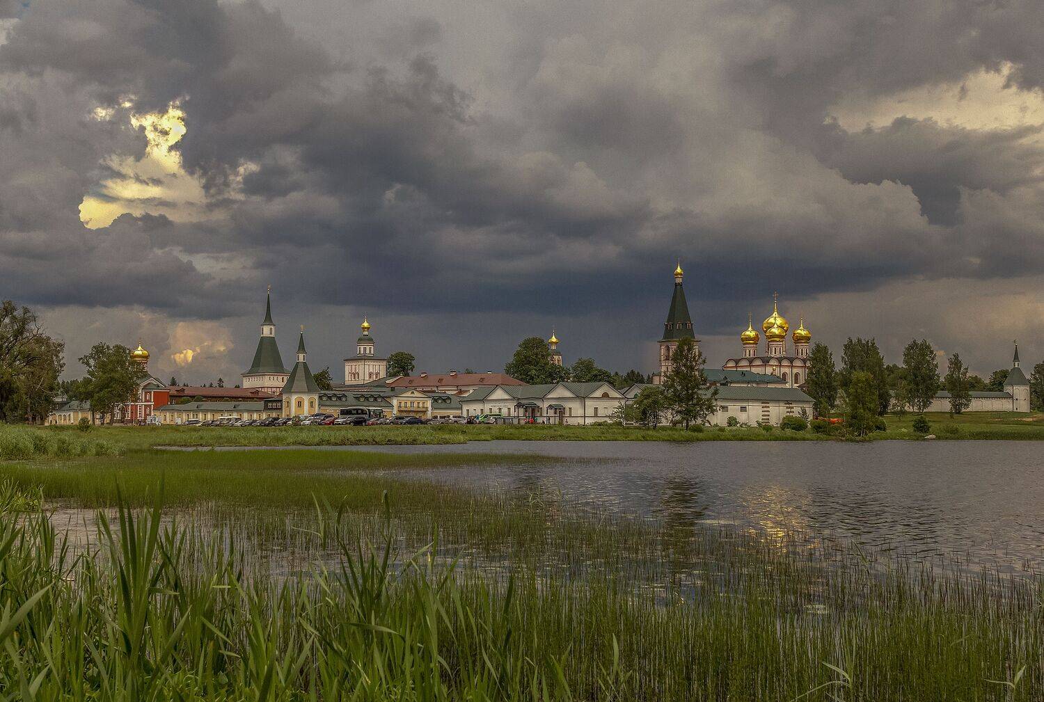 Новгородская область, Елена Гусева