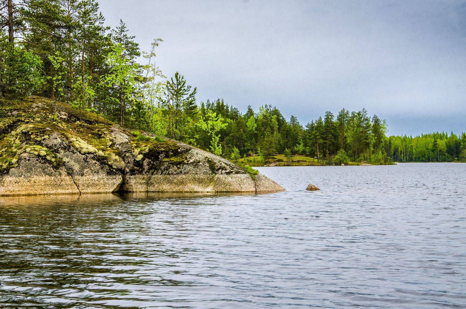 , Александр Березуцкий