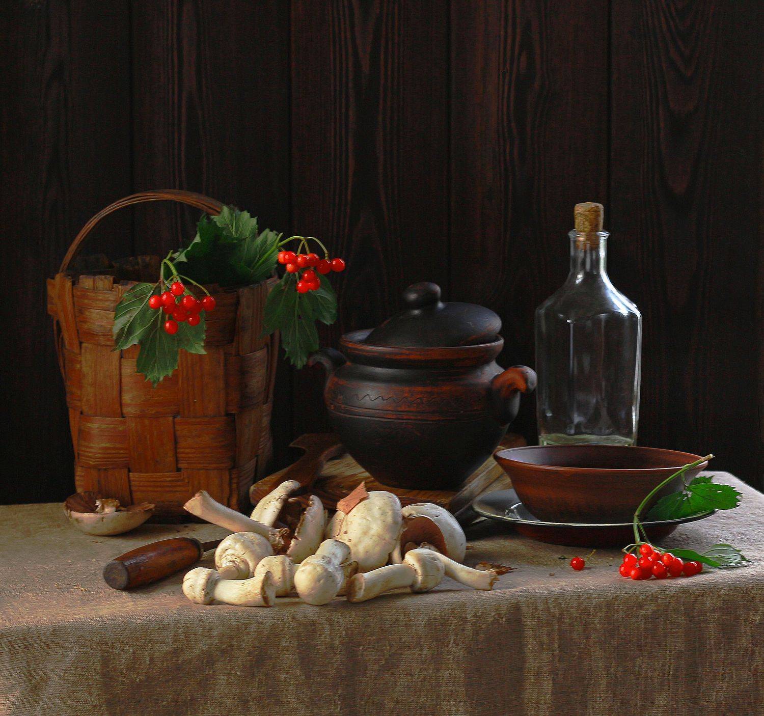 натюрморт, фотонатюрморт, лето, грибы, шампиньоны, калина, наталья казанцева, Наталья Казанцева