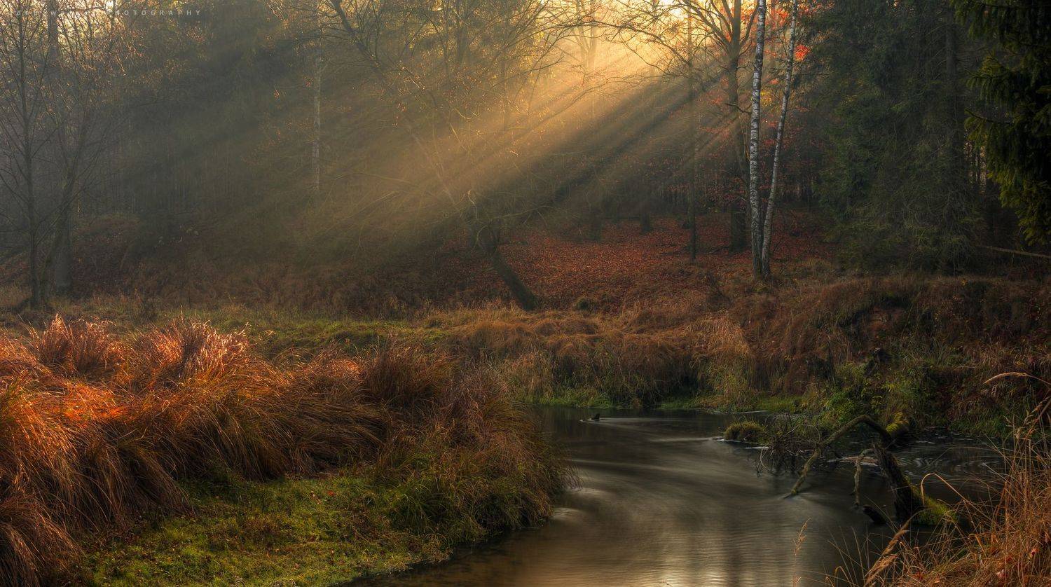 nature, природа, autumn, осень, tree, дерево, river, река, Adam Wajner