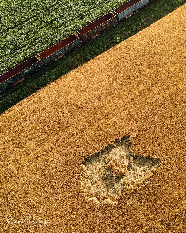 Поезд в полях фото превью